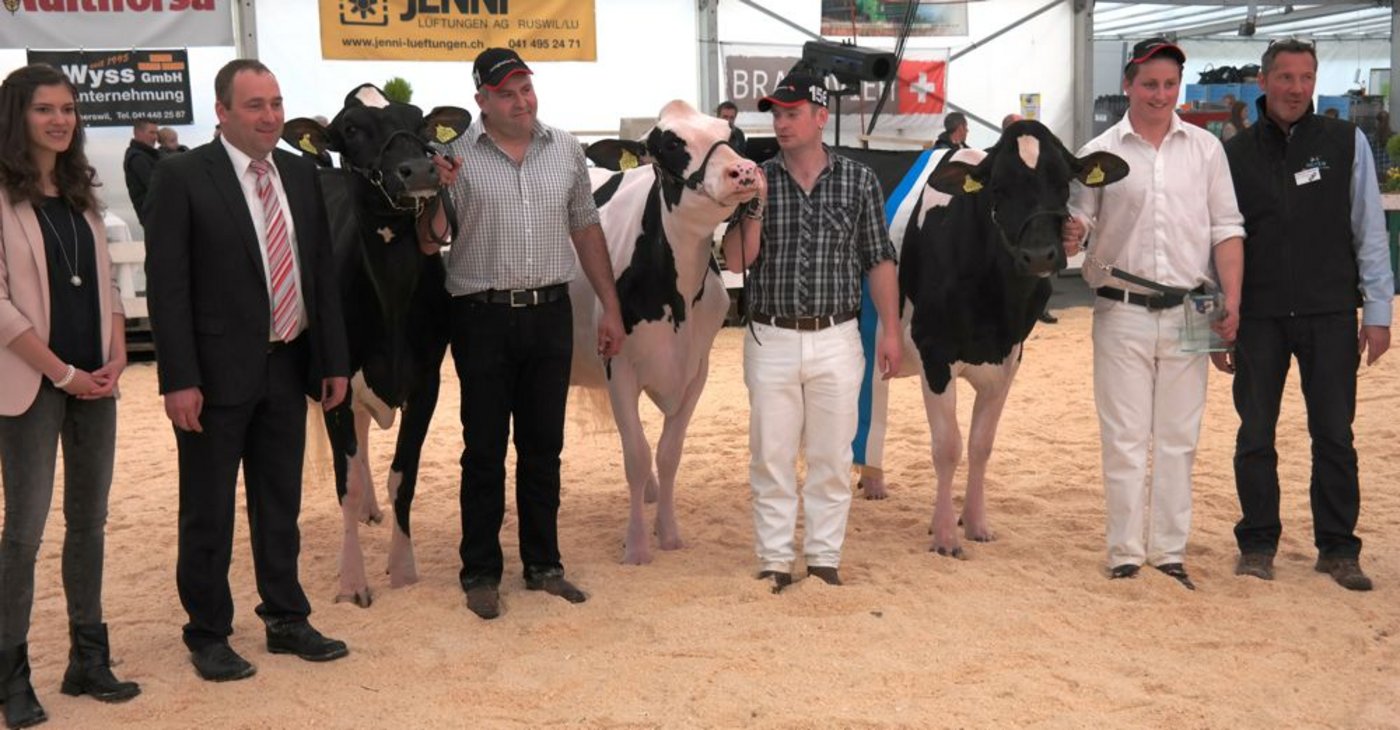 Die jüngere Championne Holstein, GIULIA GOLDSUN von Egli Benedikt 6018 Buttisholz, Ersatzchampion SHAKIRA ARTES von Rüttimann André & Patrick 6276 Hohenrain und Honorable, KATANGA KNOWLEDGE von Müller Marcel 6033 Buchrain.