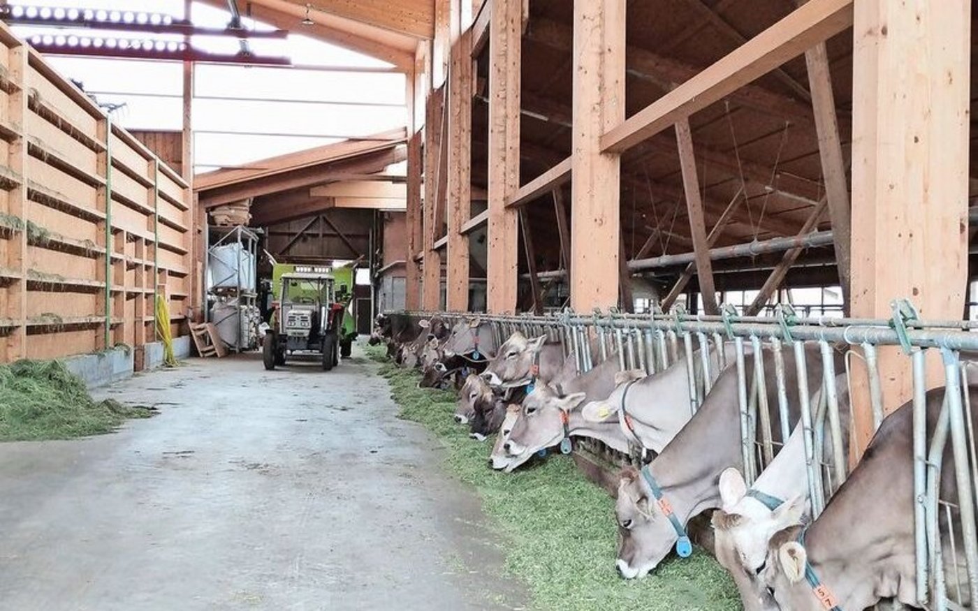 Das grosszügig bemessene Tenn. Den Kühen gefällt es.