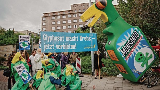 Die Diskussion um Glyphosat erhitzt die Gemüter seit Jahren. Die EU-Kommission soll nun über die Zukunft des Totalherbizids bis Mitte Dezember entscheiden. In der Schweiz könnte ein Verbot zu einer neuen Zulassungsprüfung führen. (Bild Moritz Richter)