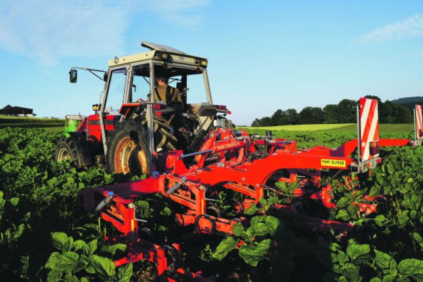 Matthias Grunder demonstrierte das kameragesteuerte Reihenhackgerät in den Sonnenblumen. (Bild sgi)