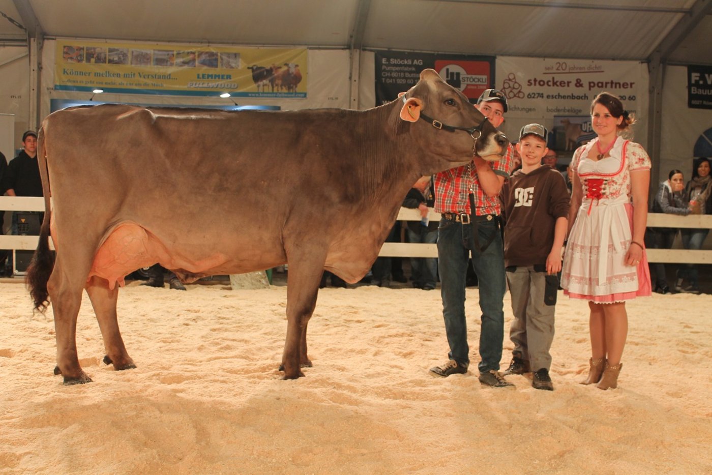 Mit über 4 % Eiweiss und einem hohen Milchwert holte sich Vigor-ET MARIZA von Rolf Stocker aus Neudorf den Miss Genetik Titel BV.