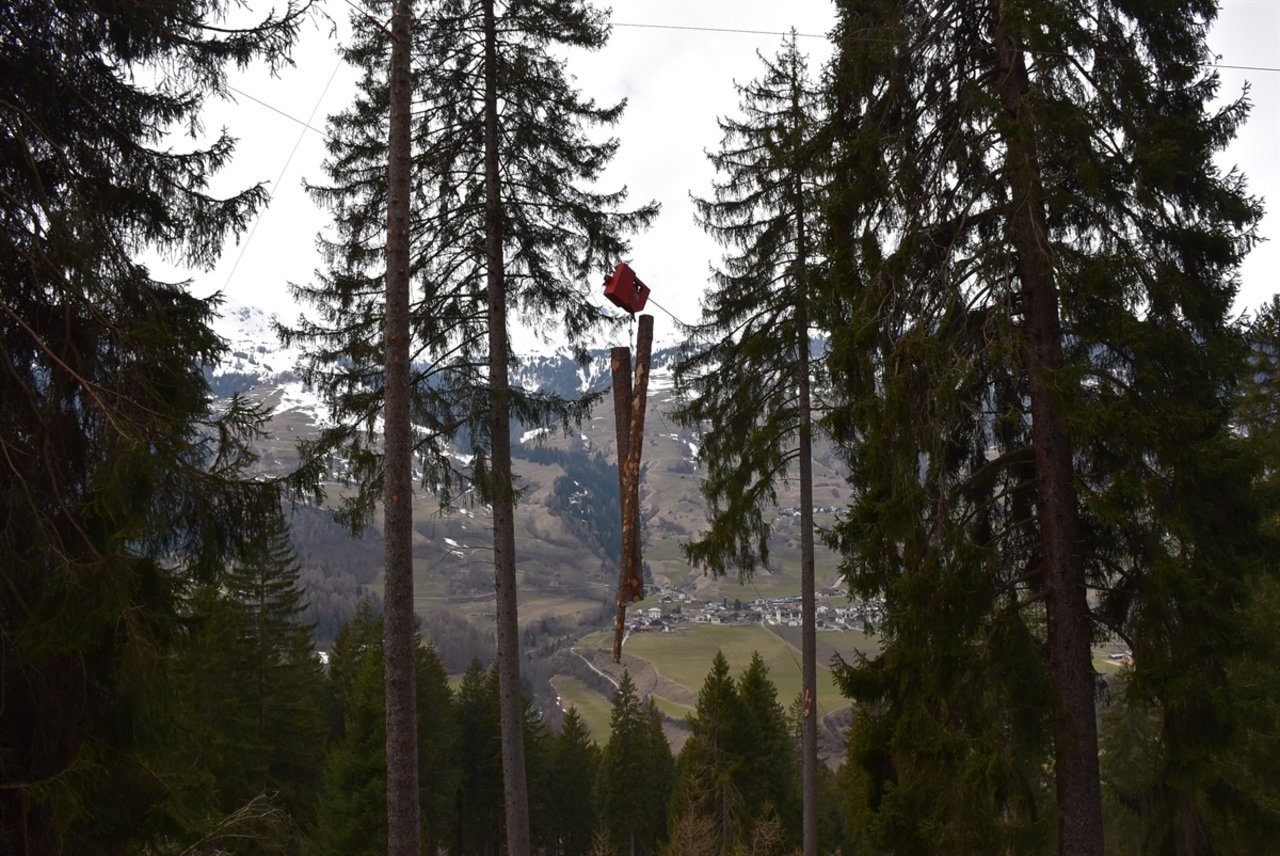 In diesem Waldstück schlugen der Verunfallte und zwei Kollegen Holz und nutzen auch eine Seilwinde. (Bild Kapo GR)