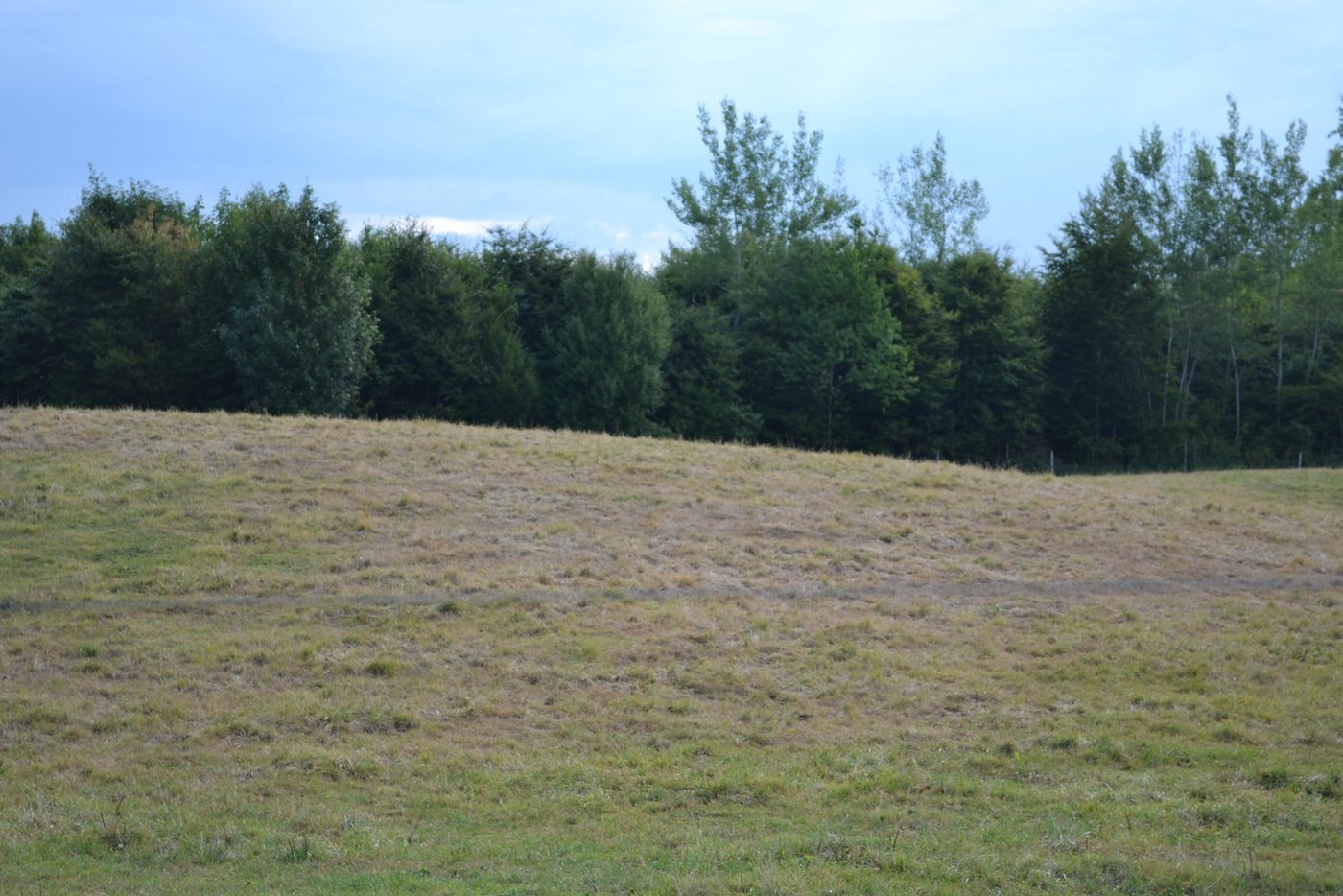Die Niederschläge der letzten Tage haben kaum zur Entspannung der Situation beigetragen. Die Wiesen bleiben braun. (Bild BauZ)
