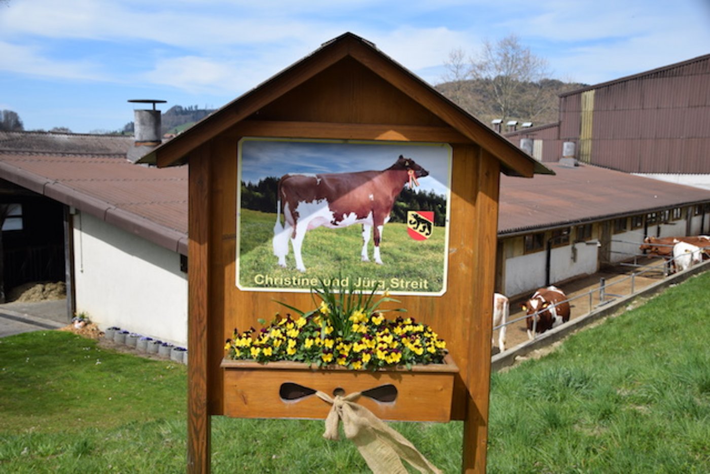Auf dem Betrieb von Christine und Jürg Streit fanden die Zuchtfamilienschauen statt.