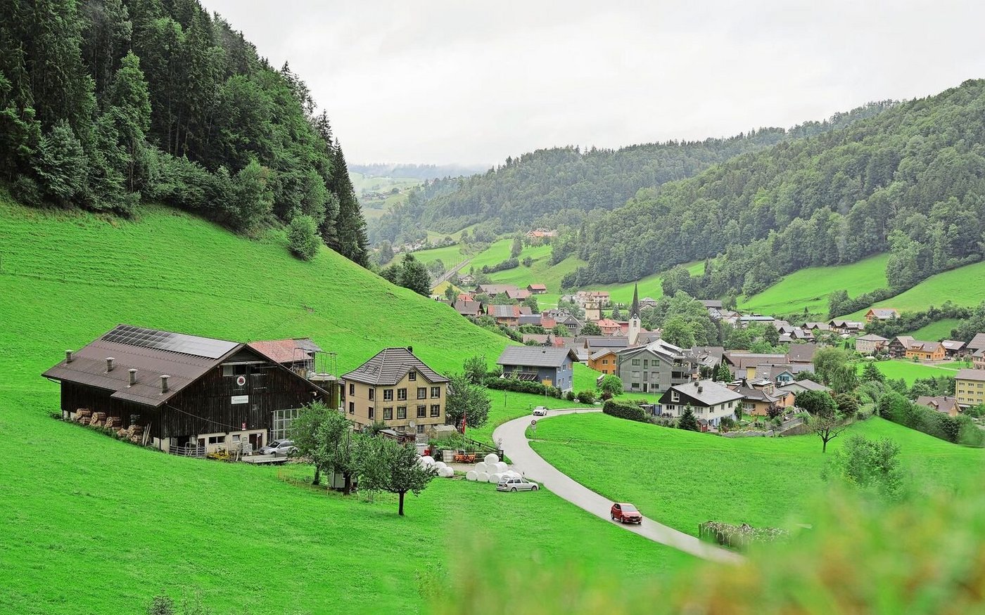 Der Betrieb liegt im Neckertal im Toggenburg. Saftig grüne Wiesen und tannige Wälder der hügeligen Voralpen dominieren das Landschaftsbild. 