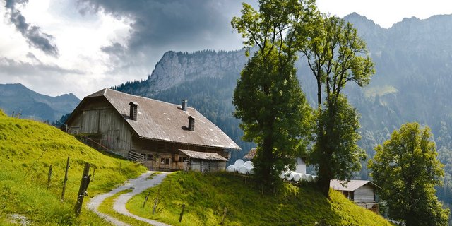 Wird ein Bauernhof verkauft, kann unter Umständen ein grosser Gewinn erzielt werden. Diesen möchte man aber nicht gleich zur Hälfte wieder dem Steueramt abgeben(Bild Peter Fankhauser)