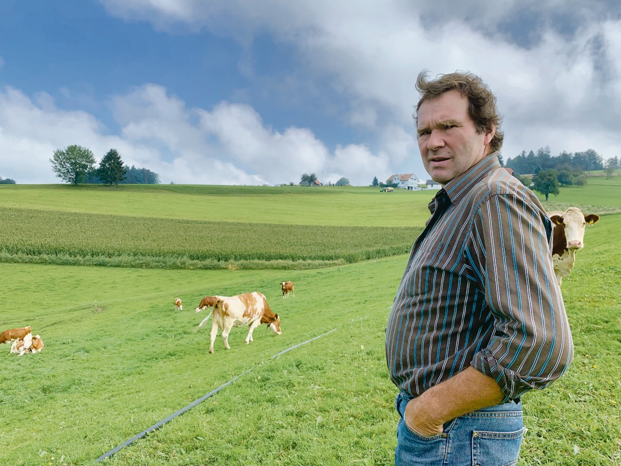 Rolf Kammermann in der Weide mit seinen Milchkühen. Er weiss nicht, ob weitere Tiere von Sarkosporidiose betroffen sind, weil sie allenfalls mit Kot von Hunden in Kontakt kamen. (Bild Josef Scherer)