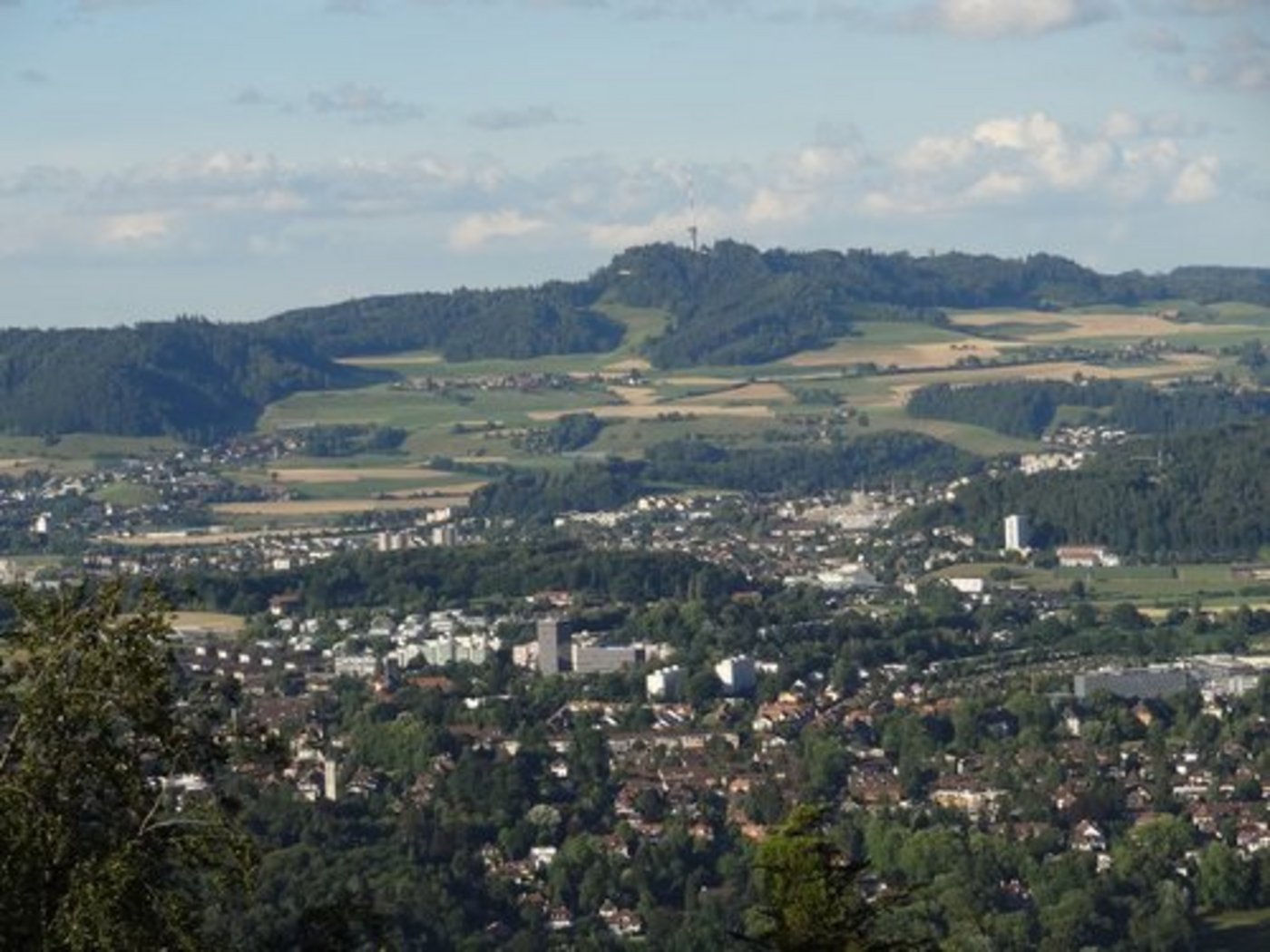Das Berner Amt für Landschaft und Natur (LANAT) gibt sich eine neue Strategie. (BIld: lid)