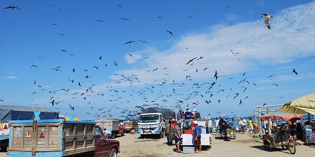 Der Handel zwischen der Schweiz und Ecuador soll erleichtert werden. (Bild pixabay)