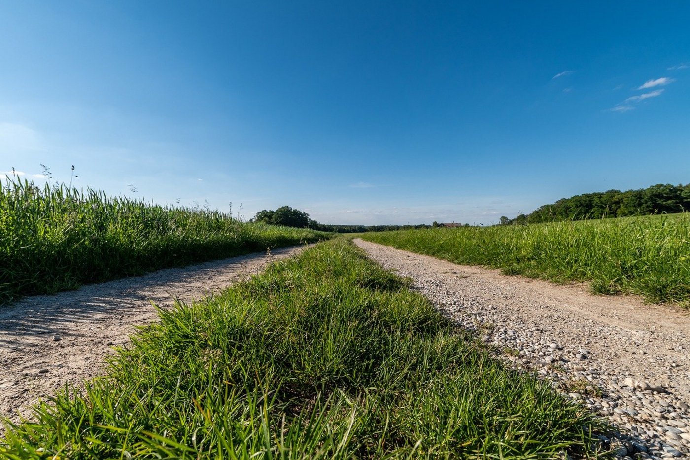 In der IGAS sind unter anderem Bio Suisse, IP-Suisse, Suisseporcs, Fromarte, Emmi, Migros, Coop und die Stiftung für Konsumentenschutz. Die IG möchte das Potenzial des Absenkpfads aufzeigen und die Wertschöpfung im Inland stärken. (Bild  Magna_KursUr / Pixabay)
