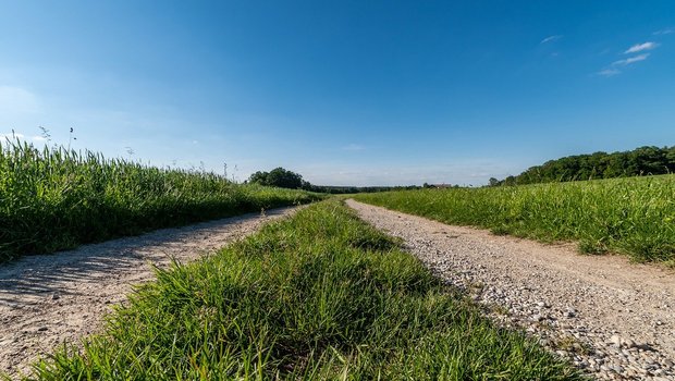 In der IGAS sind unter anderem Bio Suisse, IP-Suisse, Suisseporcs, Fromarte, Emmi, Migros, Coop und die Stiftung für Konsumentenschutz. Die IG möchte das Potenzial des Absenkpfads aufzeigen und die Wertschöpfung im Inland stärken. (Bild Magna_KursUr / Pixabay)