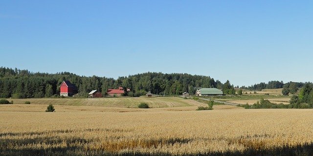 Im letzten Jahr sanke die Zahl der landwirtschaftlichen Betriebe in Finnland um nurn zwei Prozent. (Bild pixabay)
