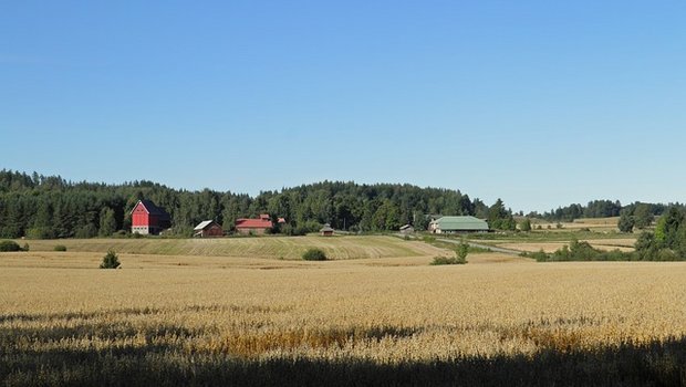 Im letzten Jahr sanke die Zahl der landwirtschaftlichen Betriebe in Finnland um nurn zwei Prozent. (Bild pixabay)