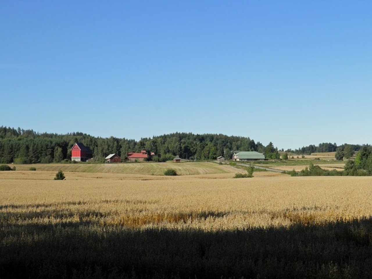 Im letzten Jahr sanke die Zahl der landwirtschaftlichen Betriebe in Finnland um nurn zwei Prozent. (Bild pixabay)