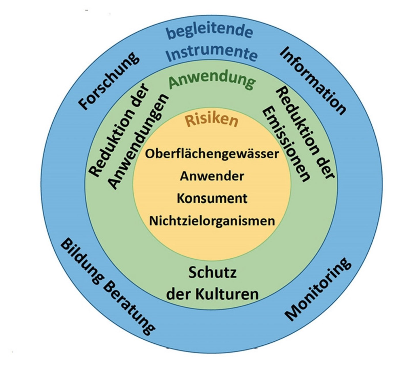 Im Aktionsplan sind 8 Leitziele und 12 konkrete Zwischenziele definiert. Um diese Ziele zu erreichen, wurden gut 50 Massnahmen in drei verschiedenen Bereichen ausgearbeitet: Anwendung (grün), spezifische Risiken (orange) und begleitende Instrumente (blau). (Screenshot BLW)