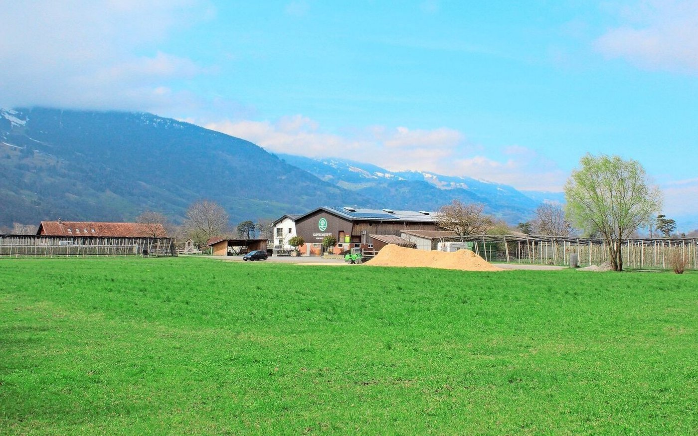 Der Demeter-Betrieb der Familie Kuppelwieser umfasst 17 Hektaren. Die Obstplantage befindet sich hinter dem Hof.