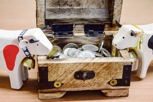 Betriebswirtschaft: Plötzlich erbe ich viel Geld – was nun? Plötzlich kommt eine Erbschaft: Wie soll ich das Geld am besten anlegen?(Bild BauZ)