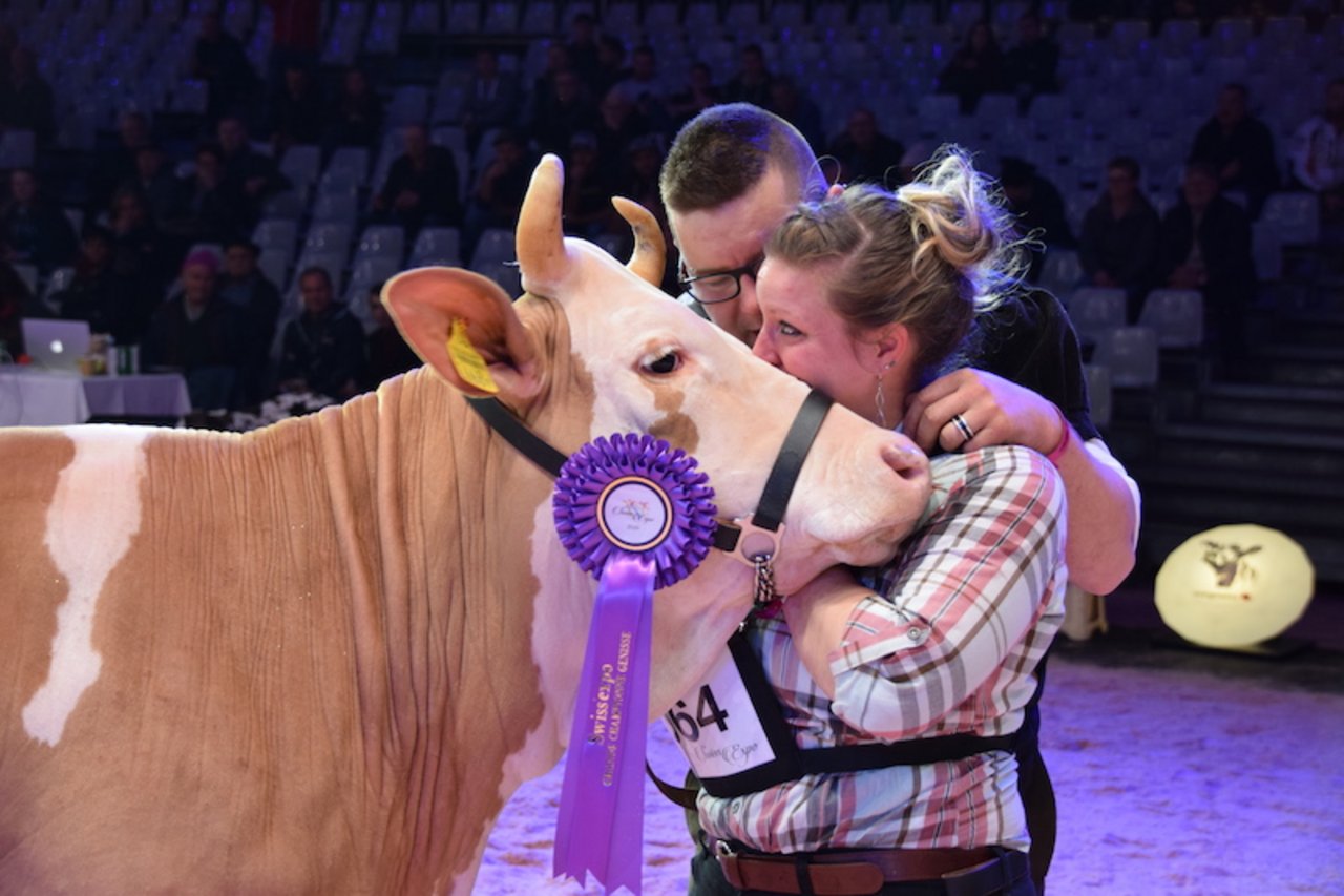 Freudentränen beim Sieg des Simmentaler Rindes Lorado Evolene von Laura und Christian Wüthrich, Court BE. (Bilder pf)