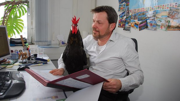 Hahn Maxl begleitet den Beamten Drostel manchmal ins Büro. (Bilder zVg)