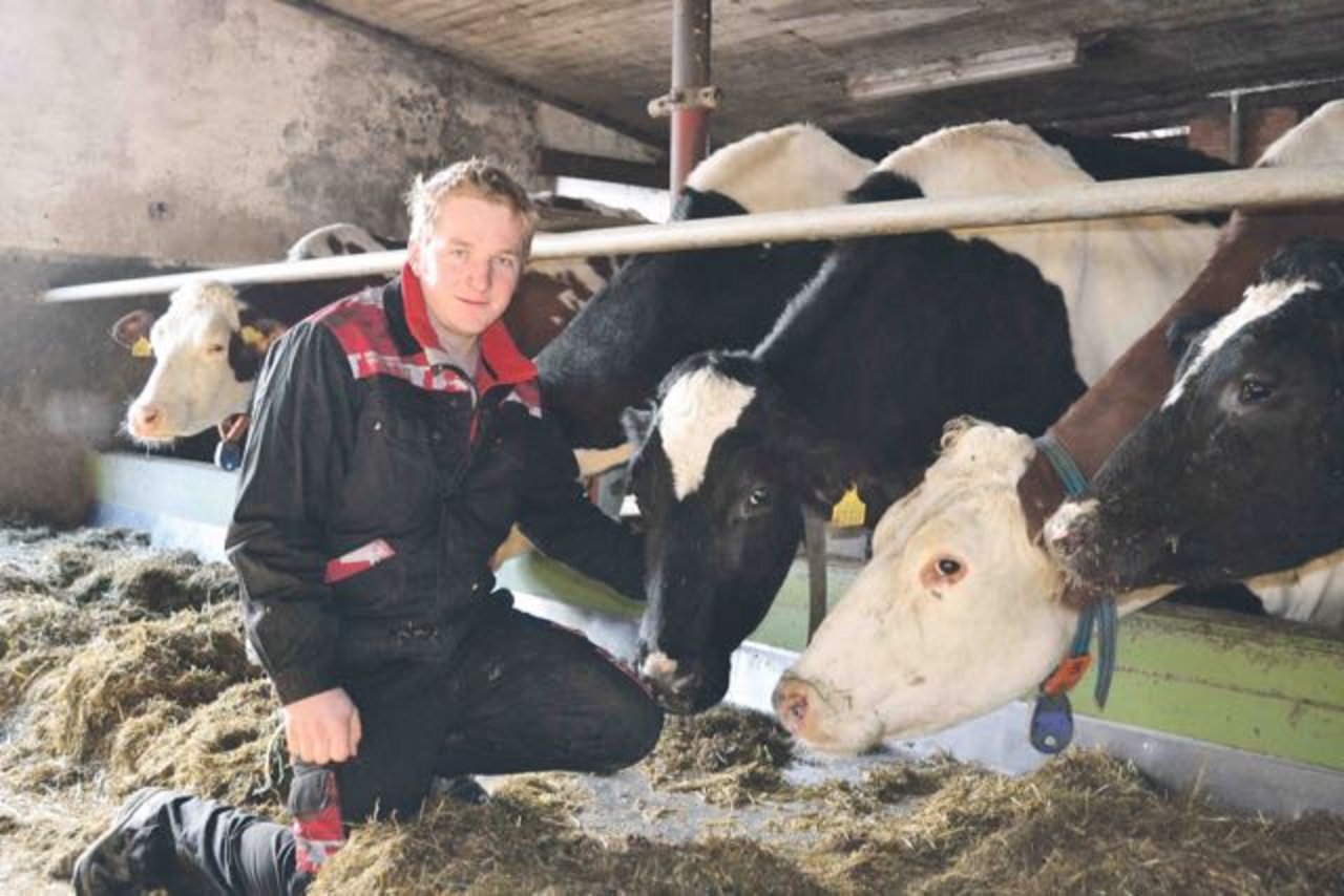 Meisterlandwirt Rudolf Gloor aus Seon AG setzt bei seinen Kühen schon seit 2014 den Trächtigkeitstest Fertalys ein. «Ich bin mit dem Ergebnis mehr als zufrieden.» (Bild Peter Fankhauser)