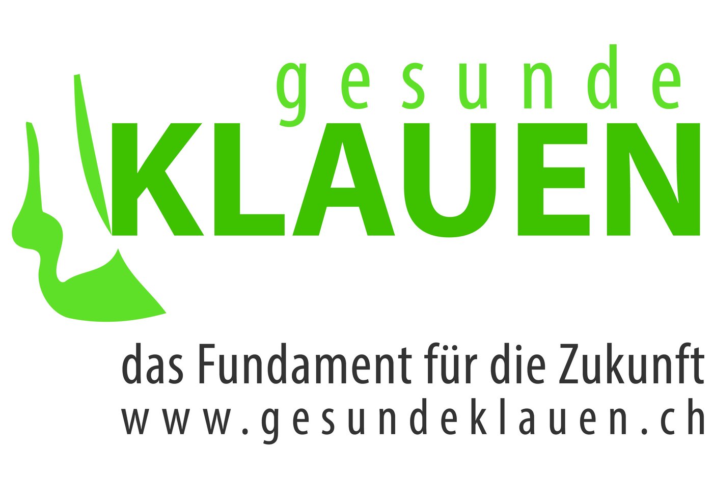 Das Ressourcenprojekt wird von der Klauenpflegervereinigung, der Arbeitsgemeinschaft Schweizer Rinderzüchter und der landwirtschaftlichen und schweizerischen Vereinigung für Wiederkäuergesundheit getragen. (Bild zVg)