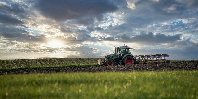 Bio Suisse, IP Suisse, Mutterkuh Schweiz, Demeter und die Kleinbauernvereinigung sprechen sich in einer Medienmitteilung gegen die Sistierung der Agrarpolitik aus. (Bild Pixabay)