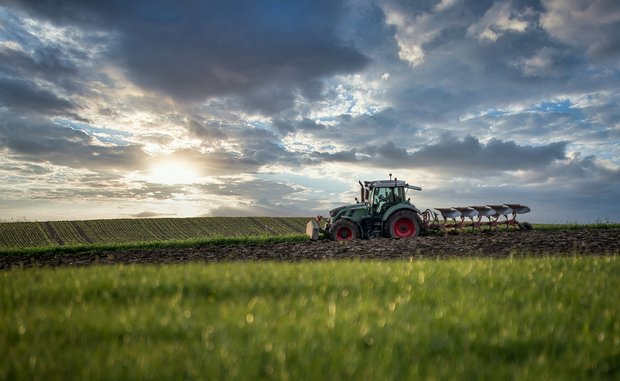 Bio Suisse, IP Suisse, Mutterkuh Schweiz, Demeter und die Kleinbauernvereinigung sprechen sich in einer Medienmitteilung gegen die Sistierung der Agrarpolitik aus. (Bild Pixabay)