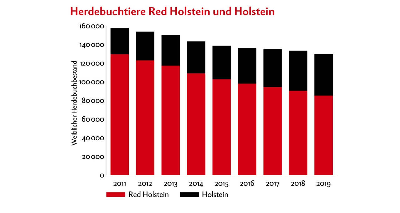 Die Milchrasse Red Holstein hat seit 2011 stark abgenommen, während Schwarz Holstein zugenommen hat. Quelle: swissherdbook