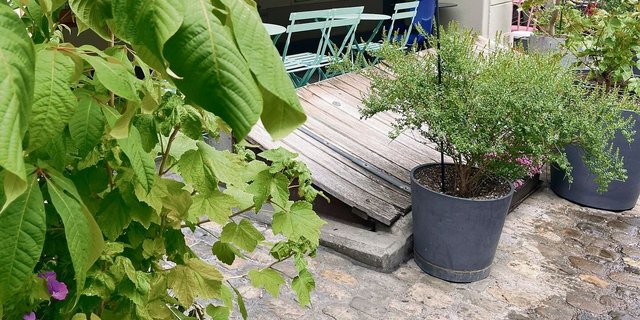 Bildlegende unten rechts