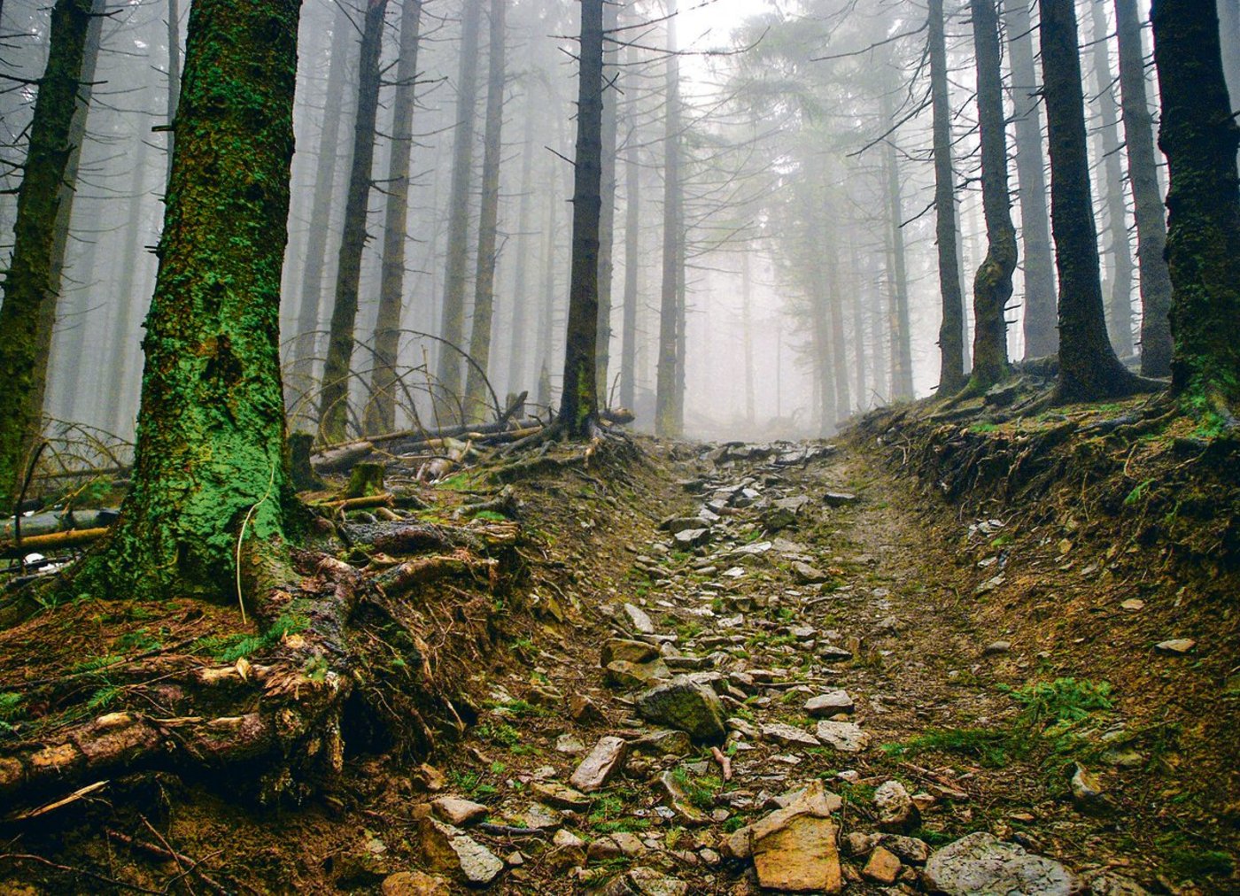 Wer keine konkreten Ziele setzt, die auch erreichbar sind, kann aus Wünschen oder Träumen nie Wirklichkeit machen. Oft ist der Weg zum Ziel steinig, darum soll man sich nicht zu viel vornehmen, damit man die Motivation unterwegs nicht verliert. (Bild Pixabay)