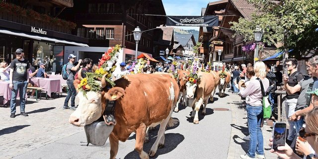 Alle Kühe wurden eindrücklich geschmückt. Der Aufwand für die Älplerfamilien war dabei gross.