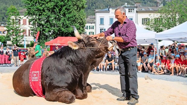 Den Original-Braunvieh-Stier Zibu und seinen Besitzer Bert Horner bringt so schnell nichts mehr aus der Ruhe. Sie kennen sich gut und hatten bereits viele gemeinsame Auftritte.