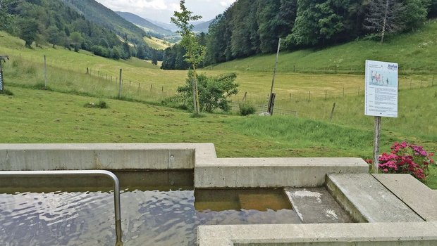 Elsbeth Lanz bietet in ihrem Natur-Wellnessgarten ein Wassertretbecken an. Durch Wassertreten soll der Kreislauf angeregt und die Durchblutung gefördert werden. Der Garten ist eine von vielen Möglichkeiten der Gesundheitsförderung auf dem Bauernhof.