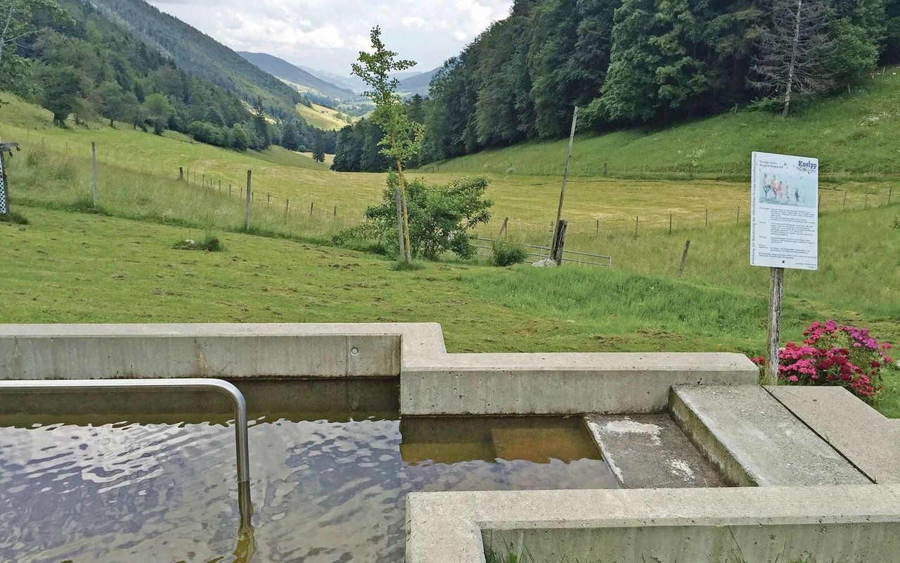 Elsbeth Lanz bietet in ihrem Natur-Wellnessgarten ein Wassertretbecken an. Durch Wassertreten soll der Kreislauf angeregt und die Durchblutung gefördert werden. Der Garten ist eine von vielen Möglichkeiten der Gesundheitsförderung auf dem Bauernhof.