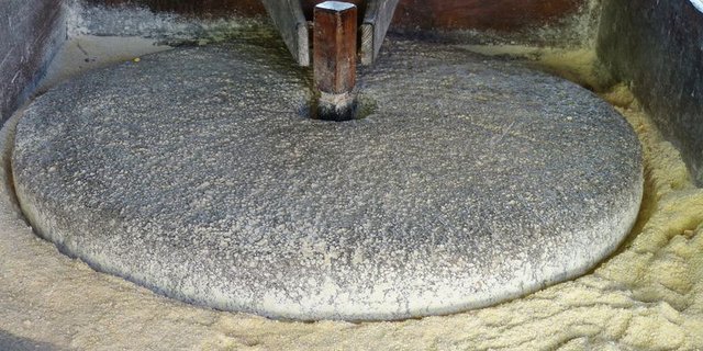 Der Dachverband Schweizer Müller ist für ein Eintreten auf die AP22+. (Bild lid)