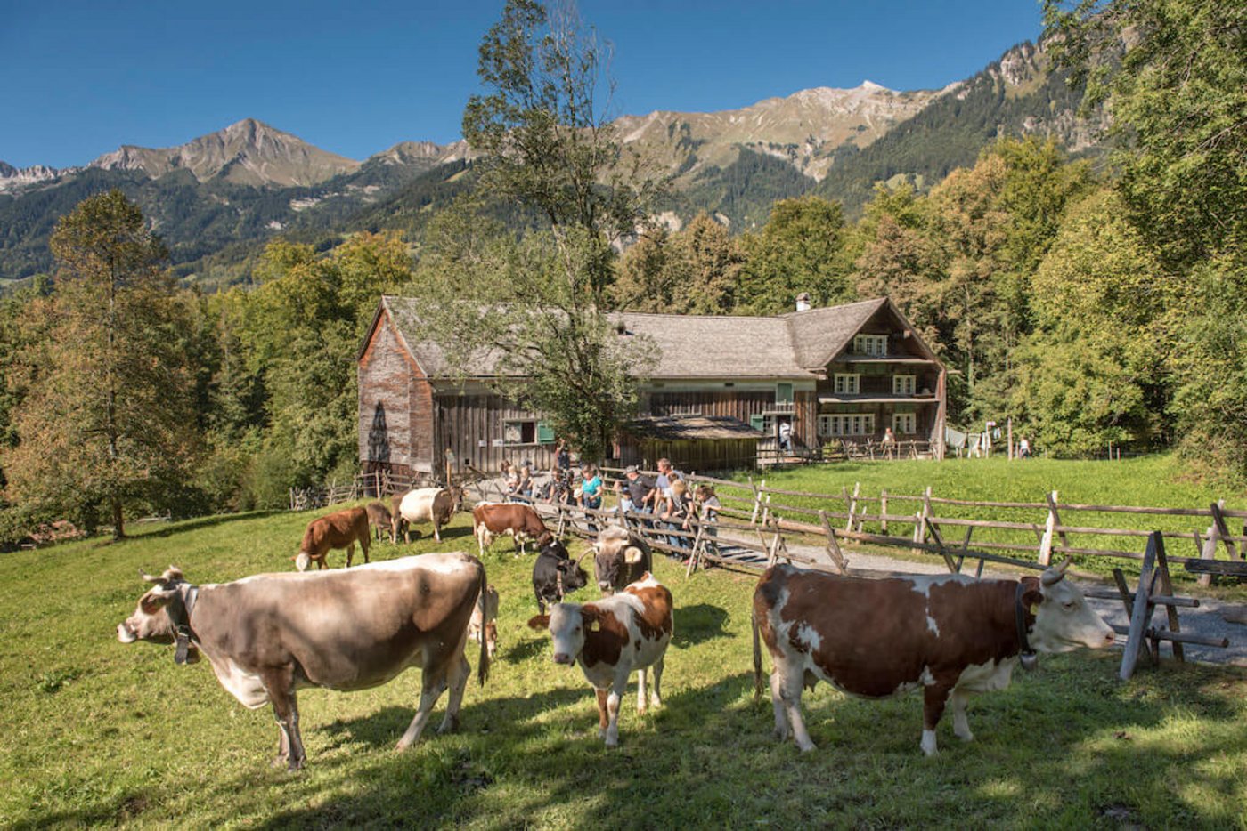 Noch wird an einem Konzept für die Eröffnung gearbeitet. (Bild ballenberg.ch)