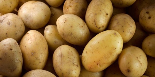 Kartoffeln waren in den letzten Wochen im Detailhandel wegen der Corona-Krise sehr gefragt. (Bild lid)