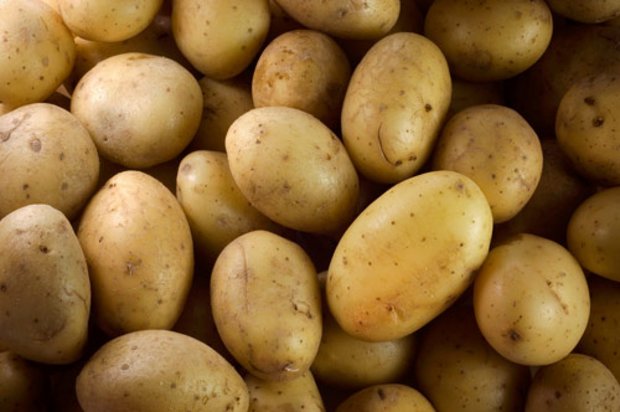 Kartoffeln waren in den letzten Wochen im Detailhandel wegen der Corona-Krise sehr gefragt. (Bild lid)