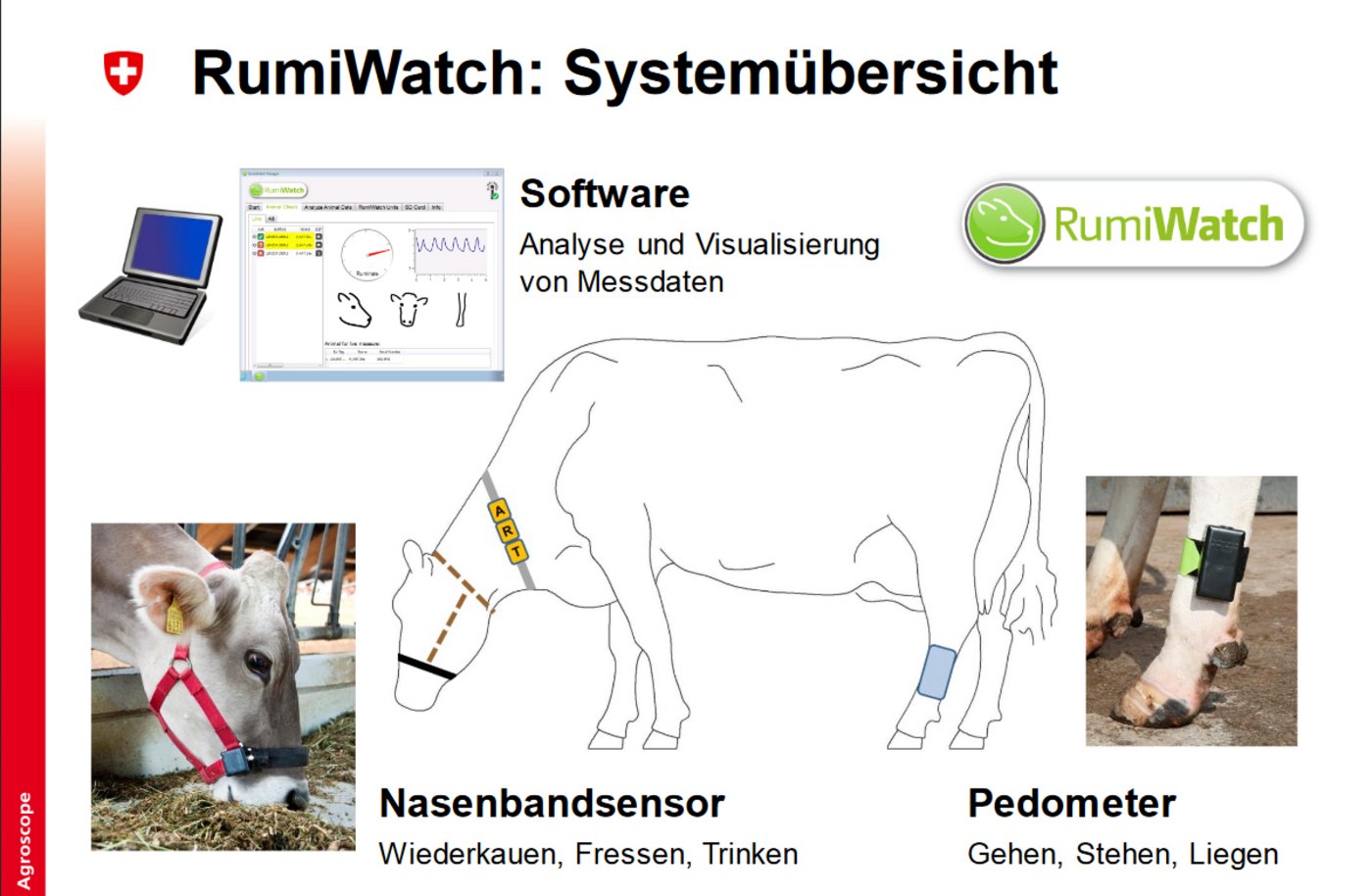 Die Systemübersicht des Rumiwatch-Projekts. (Folie Agroscope)