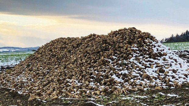 Einer der letzten Zu Einer der letzten Zuckerrübenhaufen auf dem Feld: Die Kampagne 2021 neigt sich dem Ende zu.