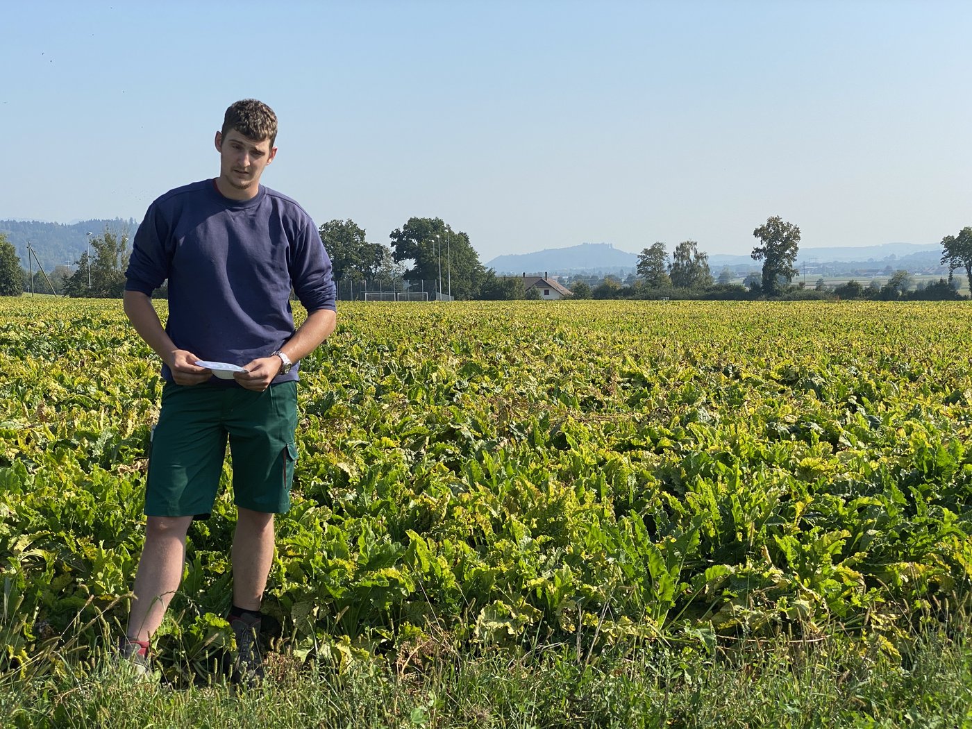 Einer von vielen betroffenen Rübenbauern ist Joël Rösch, der seine Felder nicht vor der Blattlaus, dem Überträger des Virus, schützen konnte.