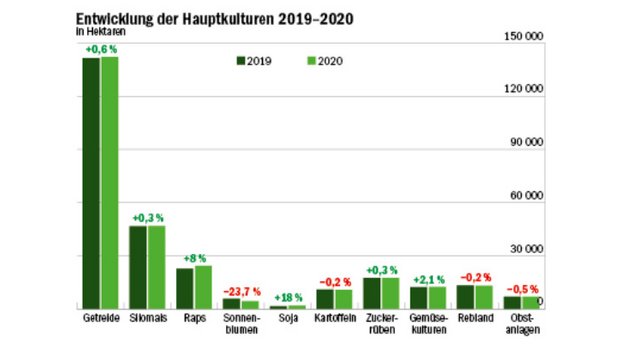 Unsere Grafik zeigt, wie sich die landwirtschaftlichen Hauptkulturen zwischen 2019 und 2020 verändert haben. (Daten Bundesamt für Statistik/Grafik Mathieu Induni/BauernZeitung)