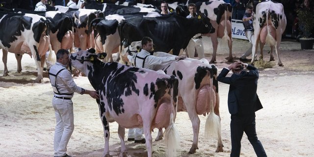 Die Expo Bulle fand zum letzten Mal im Jahr 2019 statt. (Bild Expo Bulle)