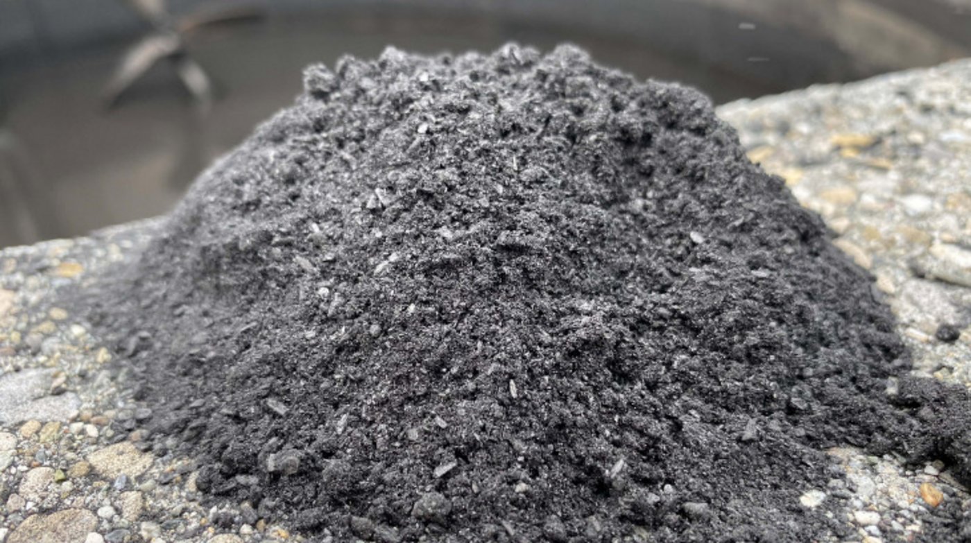 Wichtig wäre eine Anpassung der Regeln bezüglich Rohmaterial für die Pyrolyse, finden die Forschenden: Reststoffe sollten zugelassen werden – das das hätte ökologische und agronomische Vorteile. (Bild Grün Stadt Zürich)