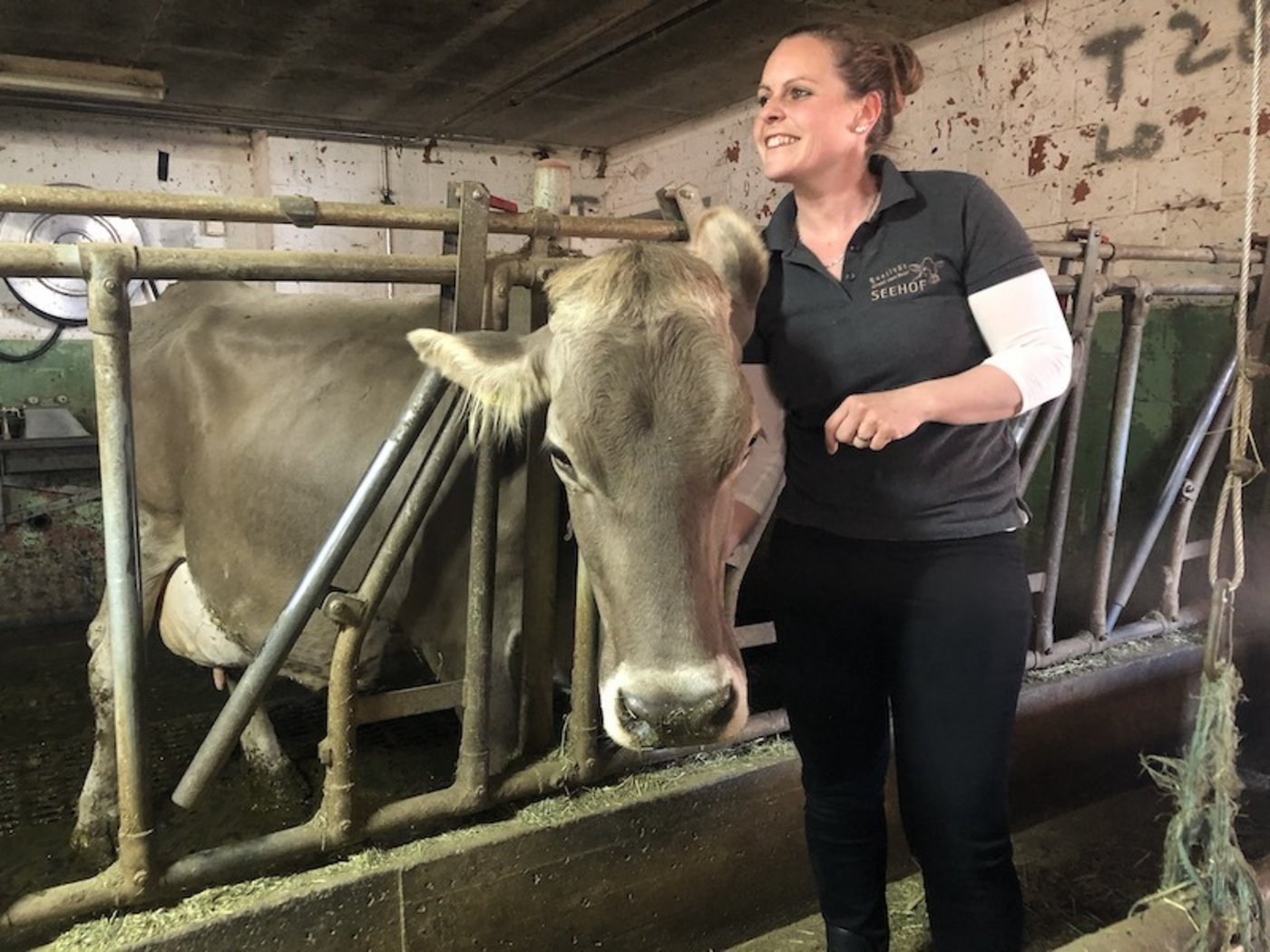 Rahel Bieri geht täglich im Stall, wenn ihr Mann abwesend ist, melkt sie auch.