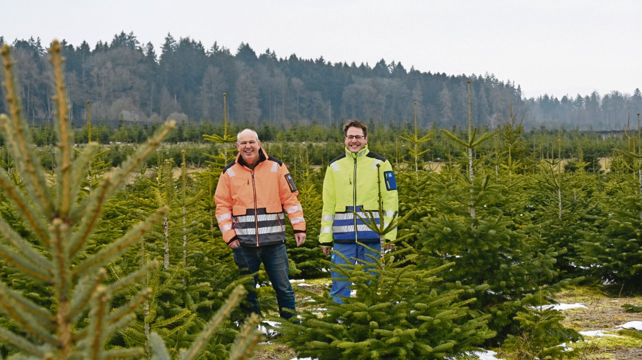 Weihnachten, oder zumindest die dazugehörenden Weihnachtsbäume, sind das ganze Jahr hindurch Thema bei Markus (links) und Patrick Heri. Offensichtlich verleidet es ihnen nicht. (Bilder BauernZeitung/Andrea Wyss)