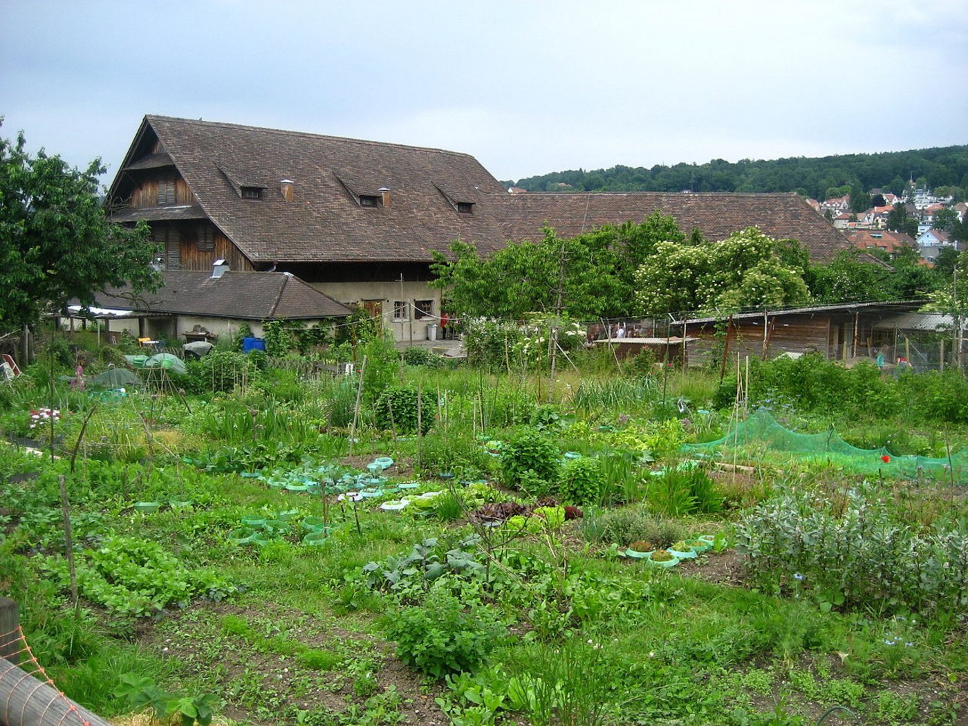 Der Quartierhof Weinegg. (Bild Roland zh)