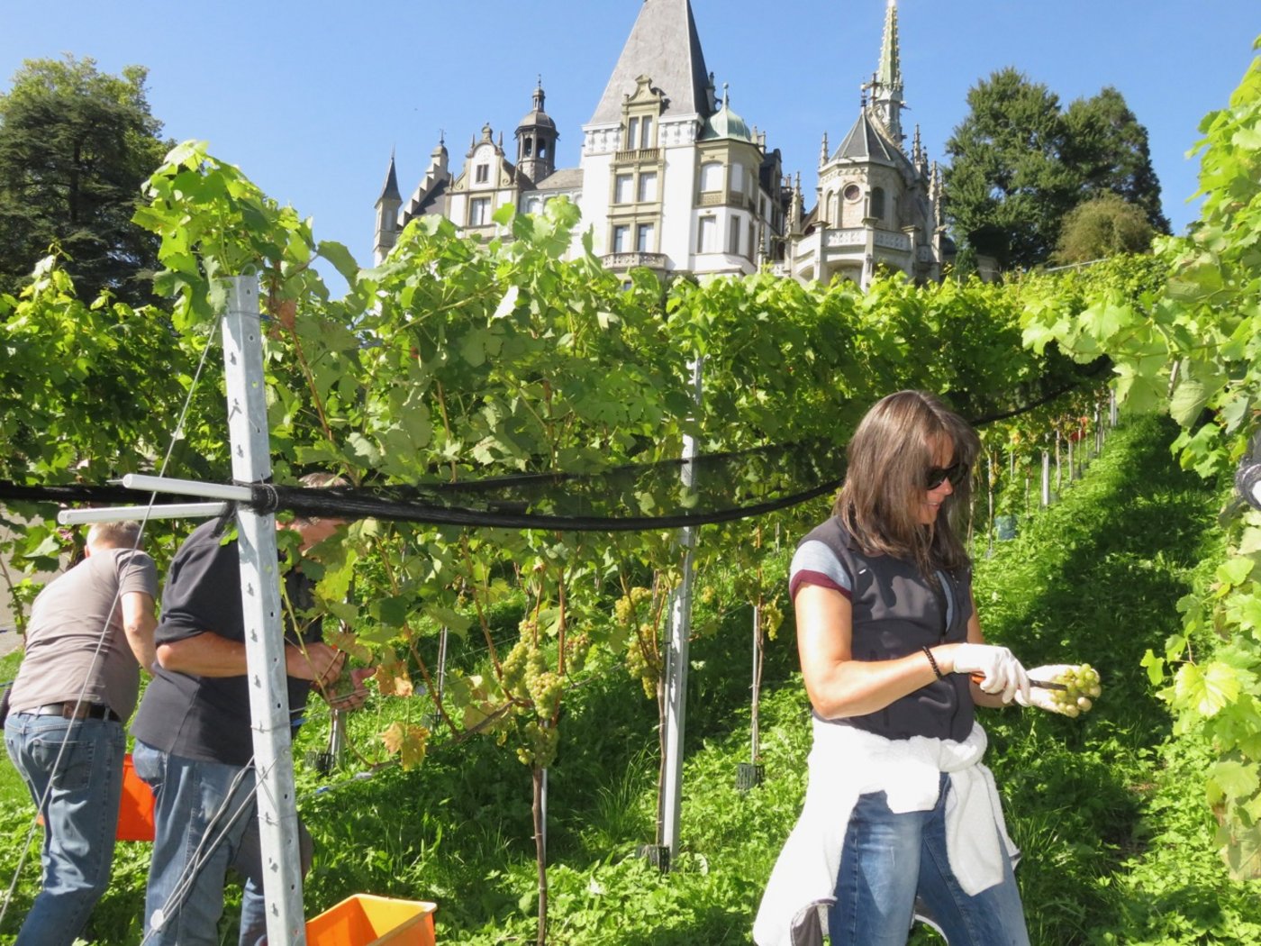 Seit 1974 gehört die ganze Schloss-Anlage der Gemeinde Meggen.