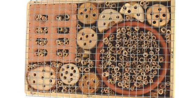 Mit wenigen Materialien kannst du selbst ein Wilbienenhotel bauen. (Foto: Pia Bertsch)
