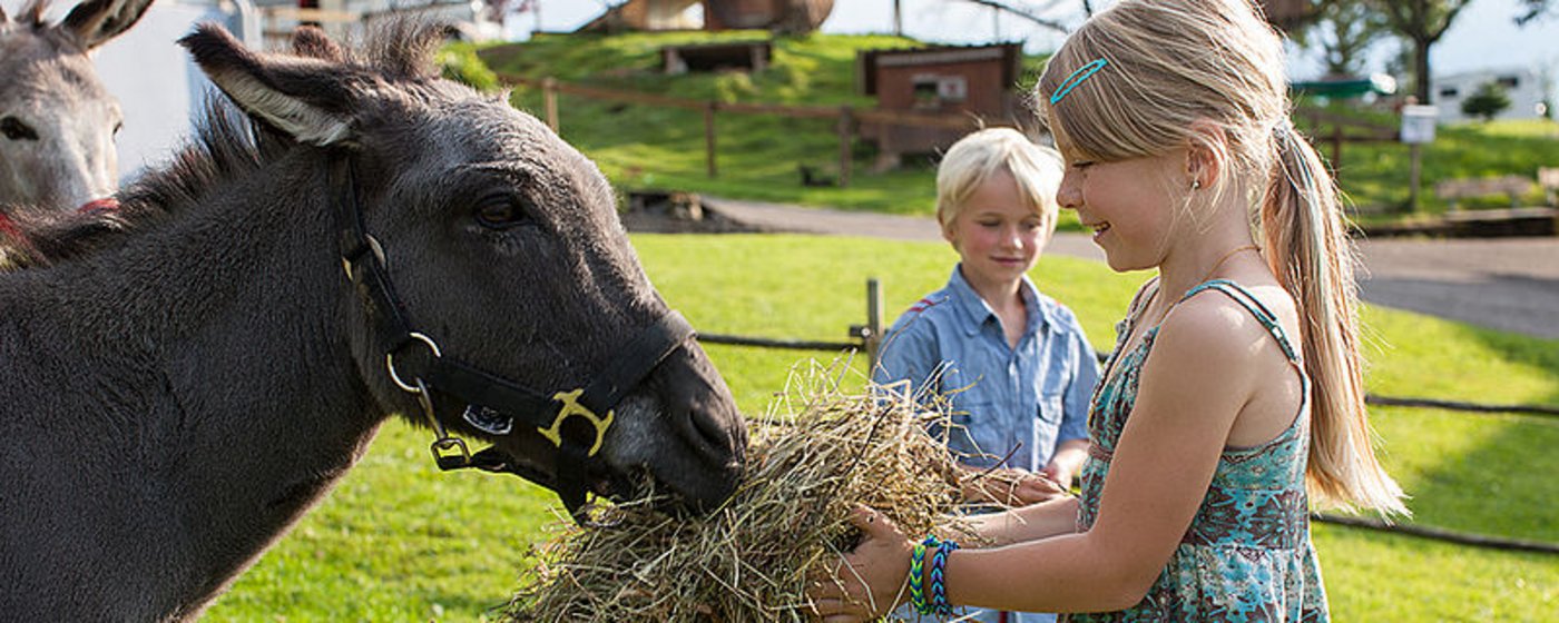 Mit Agrotourismus-Angeboten kann man die Landwirtschaft hautnah erleben. (Bild myfarm.ch)